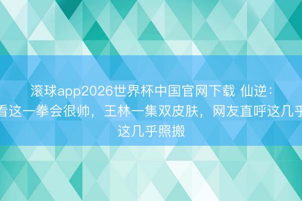 滚球app2026世界杯中国官网下载 仙逆:介怀看这一拳会很帅,王林一集双皮肤,网友直呼这几乎照搬