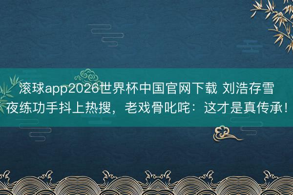 滚球app2026世界杯中国官网下载 刘浩存雪夜练功手抖上热搜,老戏骨叱咤:这才是真传承!