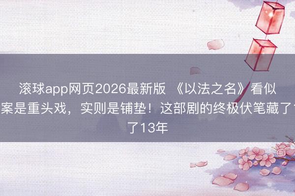 滚球app网页2026最新版 《以法之名》看似万海案是重头戏,实则是铺垫!这部剧的终极伏笔藏了13年