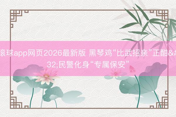 滚球app网页2026最新版 黑琴鸡“比武招亲”正酣 民警化身“专属保安”