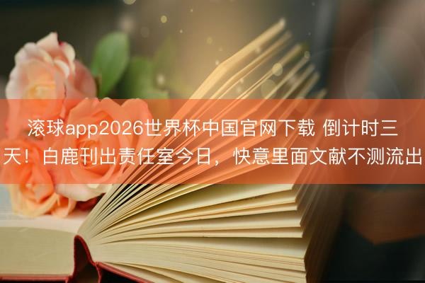 滚球app2026世界杯中国官网下载 倒计时三天！白鹿刊出责任室今日，快意里面文献不测流出